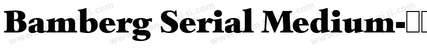 Bamberg Serial Medium字体转换